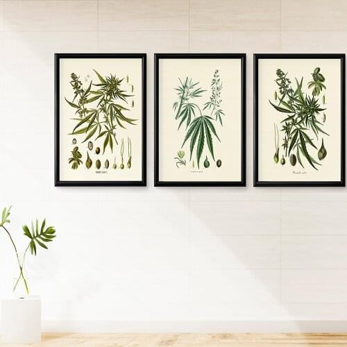 Botanical Vintage Illustrations Herb Weed Canvas Painting Wall Art Nordic Posters and Prints Wall Pictures for Living Room Decor