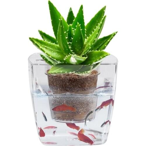2 In 1 Creative Flower Pot Automatic Water Absorption Pot Automatic Irrigation Hydroponic Plastic Desktop Square Fish Tank