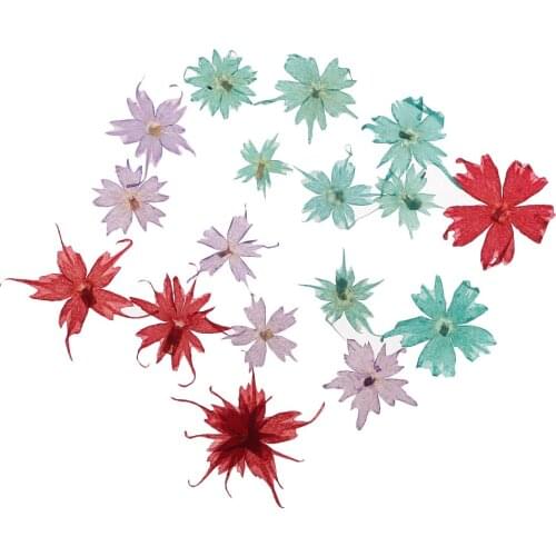 1 Pack Pressed Natural Dried Flower Leaves Embellishment For DIY Ornament Crafts Accessory