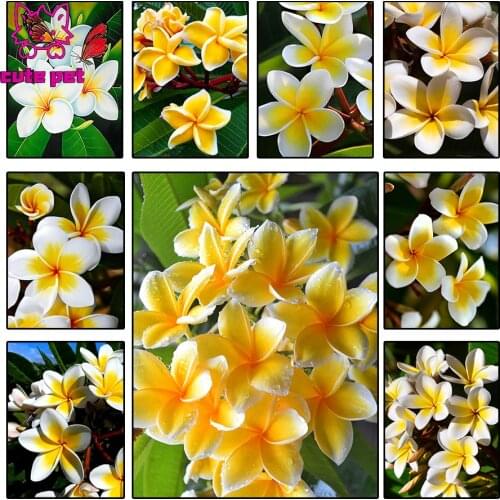 Frangipani Diamond Embroidery Buddhist sacred flower Full diamond painting Home Wall Decor Square round Diamond Mosaic Pattern