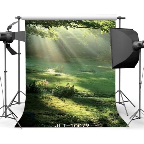 Photography Backdrops Rural Forest Green Grass Field Sunshine Nature Scene Toddlers Adults Lover Portraits Background10079