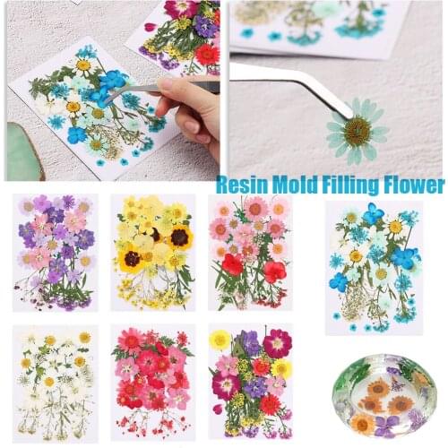 Molds UV Epoxy Crystal Filling Materials Babysbreath Dried Flowers Beauty Decal Resin Filler Resin Mold Filling Flower