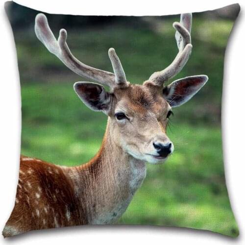 Animals pattern Deer giraffe cat dog view Cushion Cover decorative Home sofa chair car seat friend bedroom kids gift pillowcase