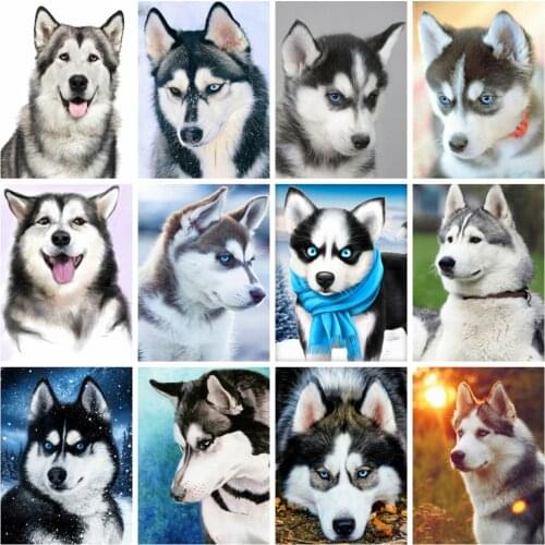 Huacan Square/round Diamond Painting Kit Dog Home Decor Diamond Embroidery Husky Animal Mosaic Wall Sticker