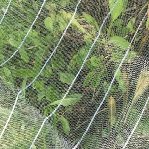 1.8/3x5m Nylon Net 25Mesh Garden Support Plants Care Cover Protection Silver Wire Thread Insect Resistant Bird Proof Shed Net