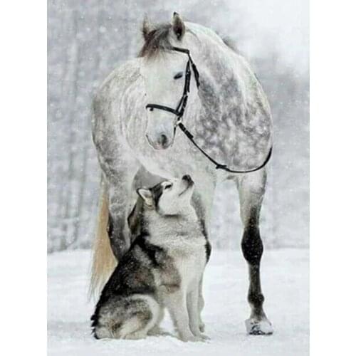 Diamond Embroidery DIY Horse Husky Dog Diamond Painting Full Square Drill Winter Snow Animal wall Decoration Diamond Art