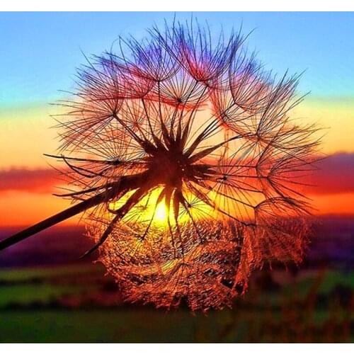 Full Square/Round Drill 5D DIY Diamond Painting "Sunset Dandelion" 3D Rhinestone Embroidery Cross Stitch 5D Home Decor Gift