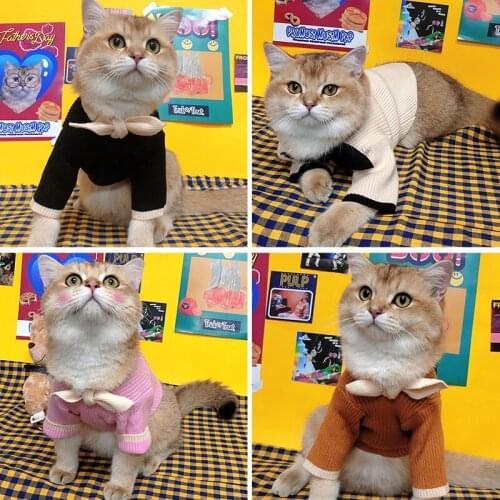Cat Dog Clothes Fashion Warm Autumn Winter Sweater Little Milk Cat Lovely Bowknot Shorthair Cat Hair Dog Pet Clothing Accessorie