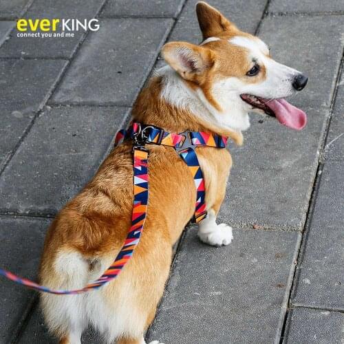 Boutique Series MEMPHIS Four Seasons Universal Polyester Leash Small Large and Medium Collar Pet Dog Sling