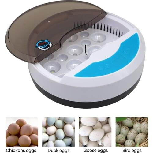 Mini 9 Egg Incubator Farm Hatching Digital Temperature Humidity Automatic Control Brooder Poultry Quail Chicken Duck Bird LED