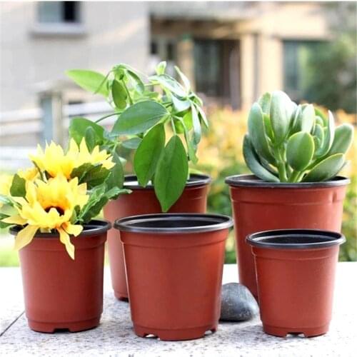 Mini 10cm 12cm Diameter Plastic Round Flower Pot Holder Nursery Planter Grow Box Fall Resistant Tray for Home Garden Home Decor