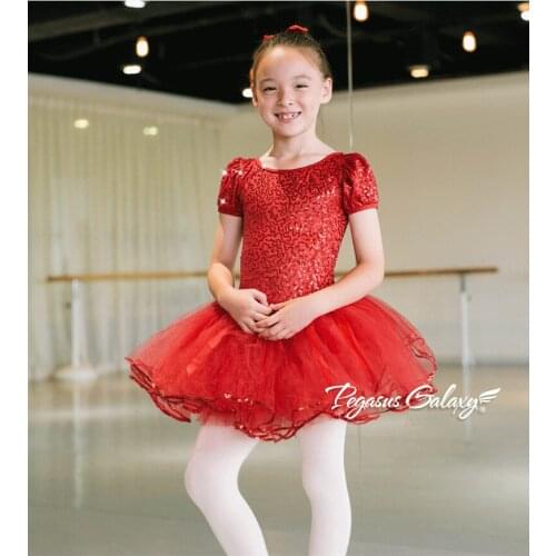Swan Lake Ballet Costumes Ballerina Dance Costume For Women Pink Long Tutu Ballet Gymnastics Leotard Ballet Dresses For Girls