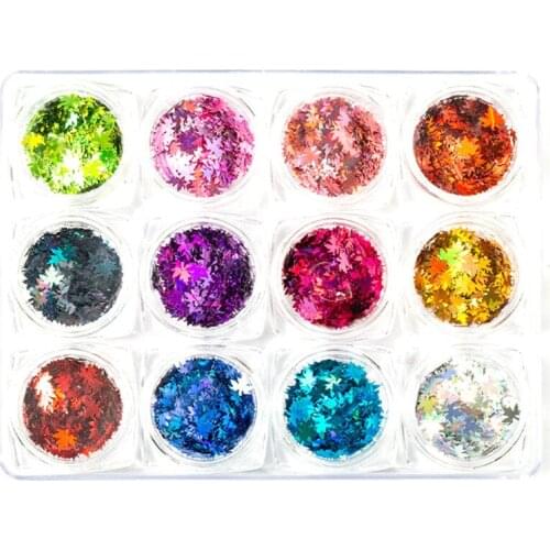 Holographic Nail Glitter Flakes Sequin 12Pcs in 1 Rose Gold Silver Butterfly Dipping Powder for Acrylic Nails Tools