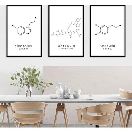 Creative Chemical Molecular Structure Canvas Painting DOPAMINE OXYTOCIN SEROTONIN Living Room Simple Black White Decor Pictures