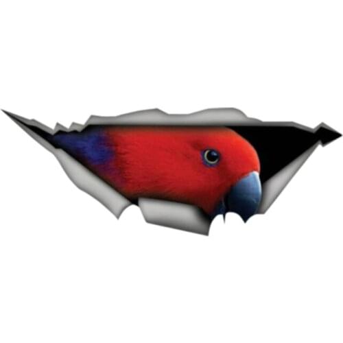Animal Car Stickers Red Eclectus Parrot Car Sticker 3D Pet Graphic Vinyl Decal Car Window Laptop Bumper,13cm*4cm