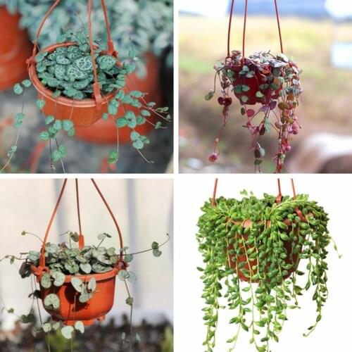 Flower Pot Eco-friendly Drainage Hole Plastic Modern Hanging Flower Pot for Outdoor Flower Pot