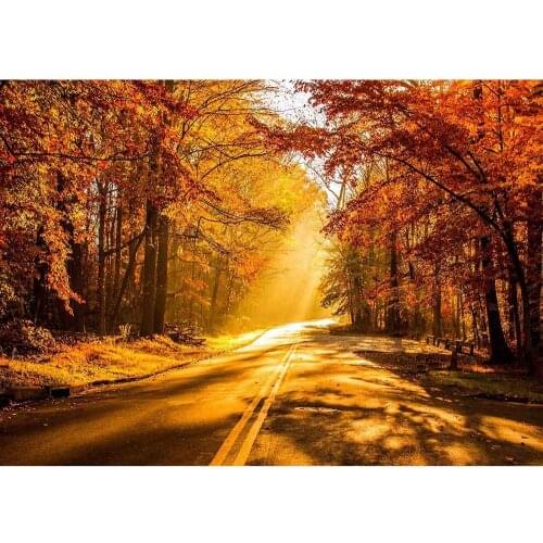 Road Sunlight Tree Vinyl Photography Backdrop for Wedding Lover Baby Children Background Photo Studio Photobooth Photo Shooting