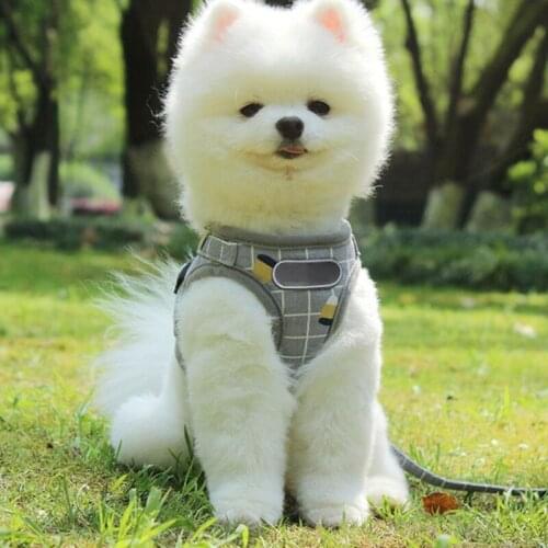 ANENG Collars, Harnesses And Leashes