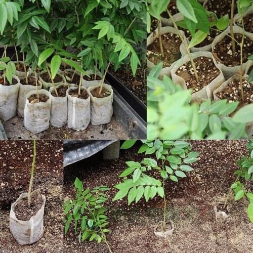 100pcs/lot Grow Bags Non-woven Nursery Bags Plant Growing Bags Environmental Protection Fabric Garden Pots Planters Supplies