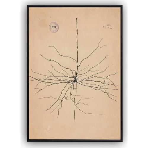 Vintage Poster Neuron Drawing Santiago Ramon y Cajal Wall Art Antique Brain Anatomy Canvas Print Anatomical Biology Illustration