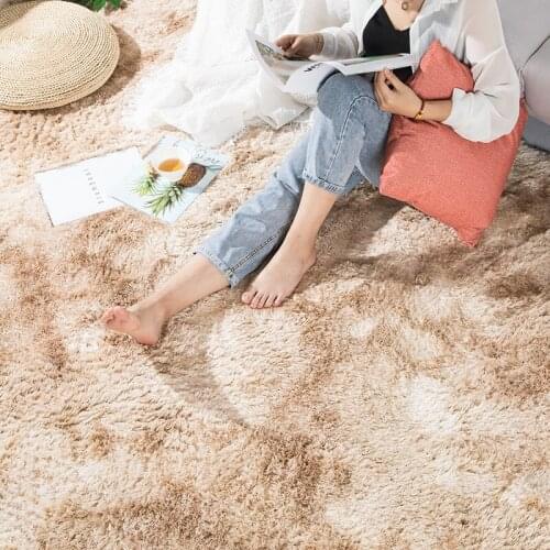 Gradient Color Plush Carpets For Living Room Soft Fluffy Rug Home Decor Shaggy Carpet Bedroom Tea Table Floor Mats Cloakroom Rug