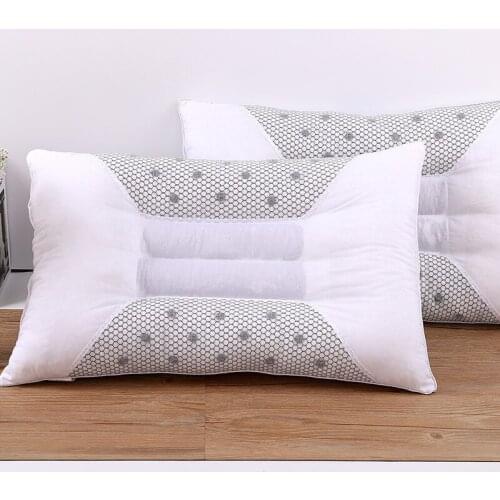 HealthDay Large Pillows