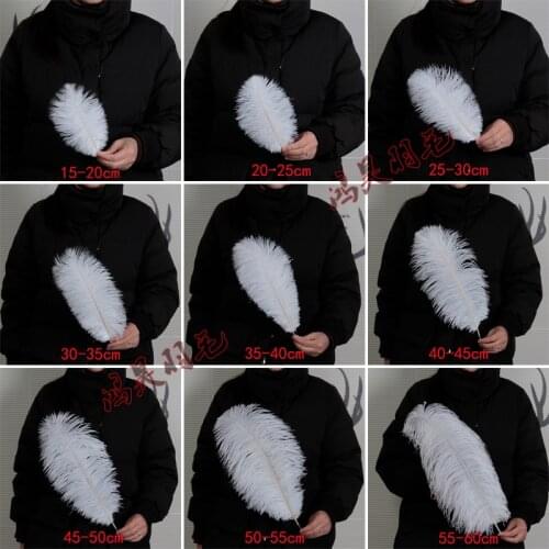 10Pcs 15-70CM 6-28inch All Size White Ostrich Feathers for Crafts Wedding Accessories Decoration Ostrich Feather Decor Plumes
