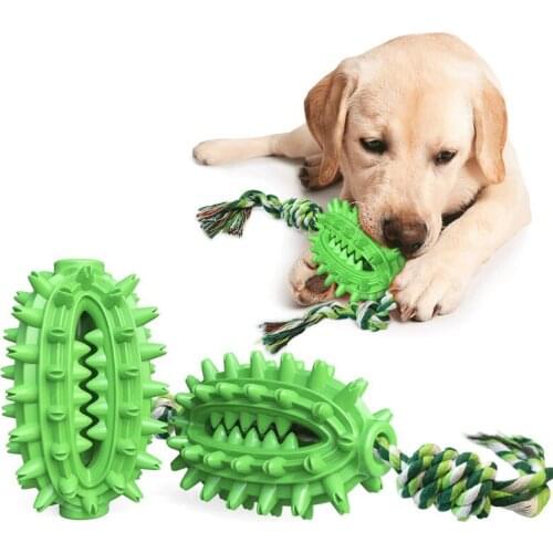 Dog Toys Tooth Cleaning New Dog Molar Stick Pet Interactive Training Big Dog Toy For Golden Toothbrush Toy Cactus With Rope Tool
