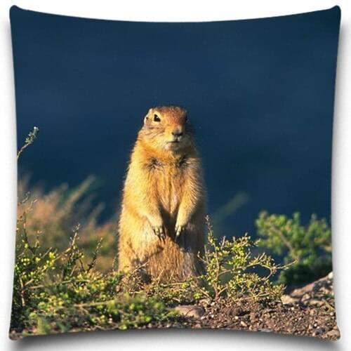 Standing squirrel/Frog Pillow case Creative insect Polyester Square Home Decor Sofa Car Seat Decorative