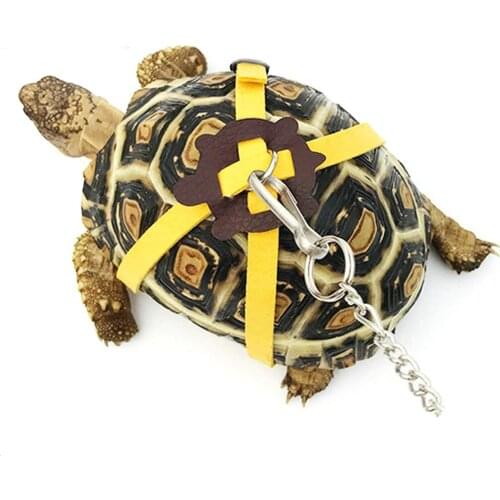 Pet Training Leash Gerbil Cage Cotton Rope Harness Collar Hamster Turtle Lizard Traction Rope Small Pet Supplies Random Color