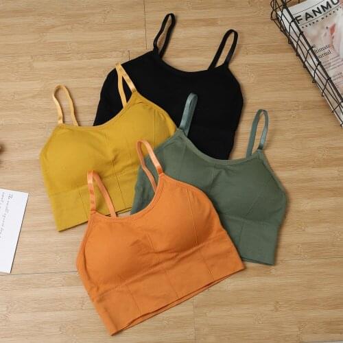 Thin Padded Bra Sexy Women Crop Tops Vest Slim Bustier Beach Tank Tops Lady Summer Sexy Backless Lingerie Intimate