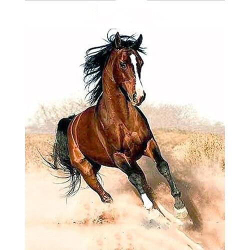 Home Decoration Horse painting art print poster mural family bedroom wall decoration Kitchen No Frame