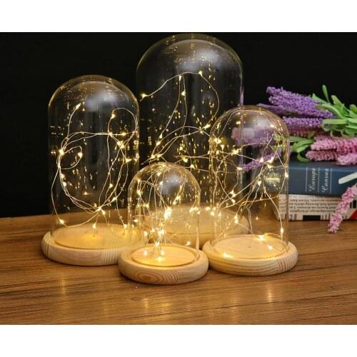 Clear Plant Flower Vase Container Battery Operated LED Glass Cloche Bedside Table Lamp Fairy Lights Crafts Office Home Ornament
