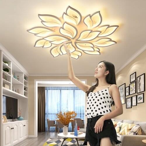 New product launches LED Ceiling lamps for modern living room bedroom study dining room home design Ceiling lighting fixture