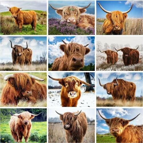 Full Square Drill 5D DIY Diamond Painting Animals Diamond Embroidery Cow Cross Stitch Mosaic Rhinestone Crafts Gift