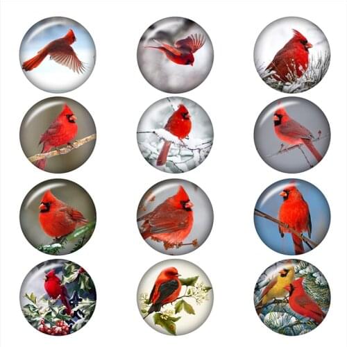 Cardinal christmas bird glass snap button jewelry DIY Round photo cabochons flat back DA1325