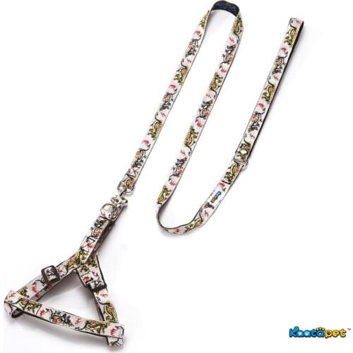 Kaatapet Adjustable Fiery Dragon Series Dog Traction Leashes