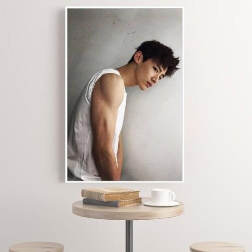 Painting by numbers art paint by number Hand-painted Chinese popular star Bai Jingting home corridor decorative painting