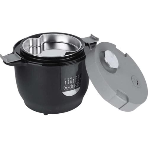 2L Electric Rice Cooker 220V 12V Home Car Double Use Food Steamer Heating Lunch Box Multicooker Cooking Pot