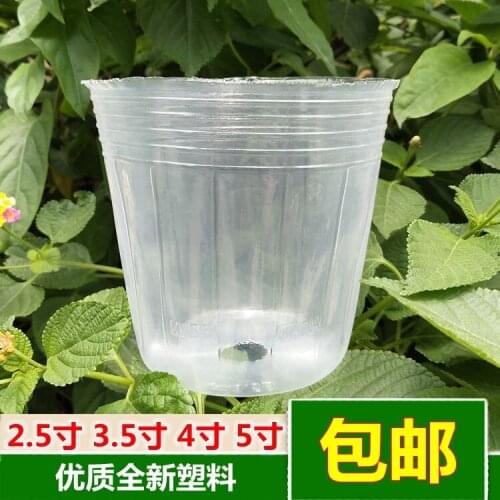 Special Nutrition Cup for Phalaenopsis Orchid Plant Cultivation Flower Pot Dendrobium Seedling Transparent Plastic Pot 50/1bag