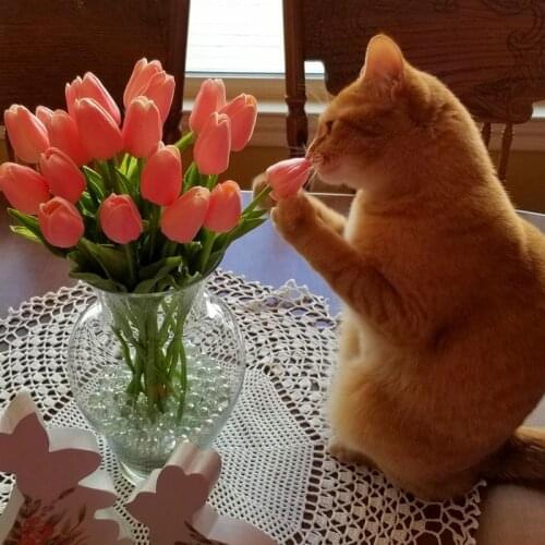 Fresh Colorful Fake Flower Real Touch Artificial Flower Mom Grandma Lady Gifts For Wedding Home Garden Essential Decorations