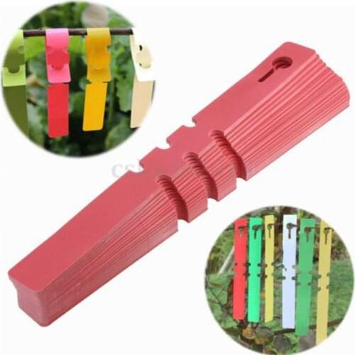 100pcs Gardening PVC Tags Nursery Garden Plant Tied Markers Plastic Blank Display Label Durable Pot Stake Tree Ornament