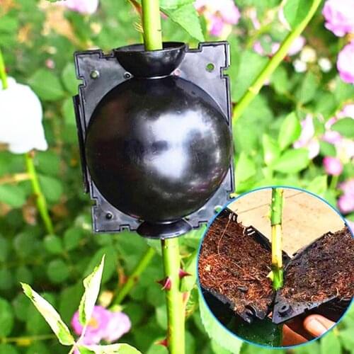 8pcs/Lot Plant Rooting Ball Garden Plant Sapling Grafting Rooting Propagation Growing Box High-Pressure Breeding Case