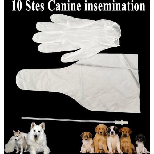 1Set Pet Dog Artificial Insemination Kit Tube Semen Collect Bags Gloves Disposable Canine Injection Catheter Pipe Clinic Tools