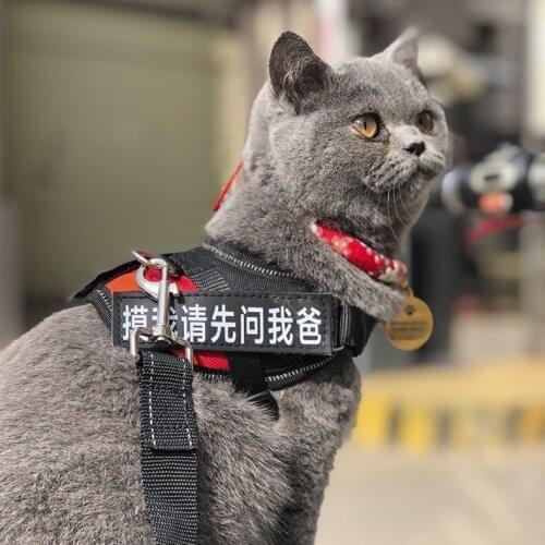 Cat traction rope anti-strike away special cat walking rope vest-style cat chain harness collar tie kitten rope