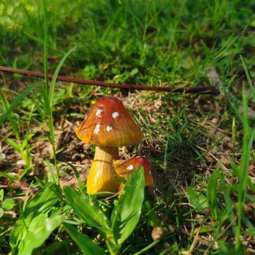 Super Mini Crimson Mushroom Cultivation Potted Microlandscape Garden Decorative Flowerpot Ornaments Lovely