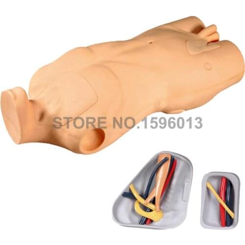 Central Venous Catheterization and Injection Training Manikin Venipuncture IV Torso Simulator