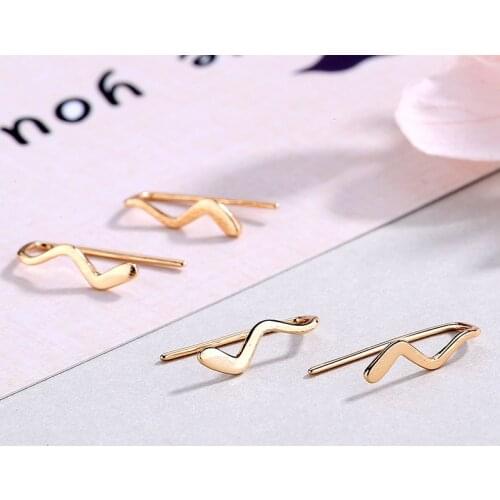 Personality Design Wave S-shaped Earrings Fashion Simple Women Anti Allergy Earrings Charm Women Cocktail Party Jewelry