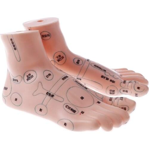 2PCS 19cm Message Acupuncture Feet Model Reflexology Acupoint Teach