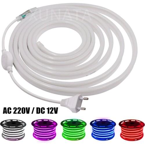 Neon Strip 220V DC 12V LED Strip Waterproof 2835 120LEDs/m White Pink Blue Flexible Ribbon Tape LED Neon Lights For Home Decor